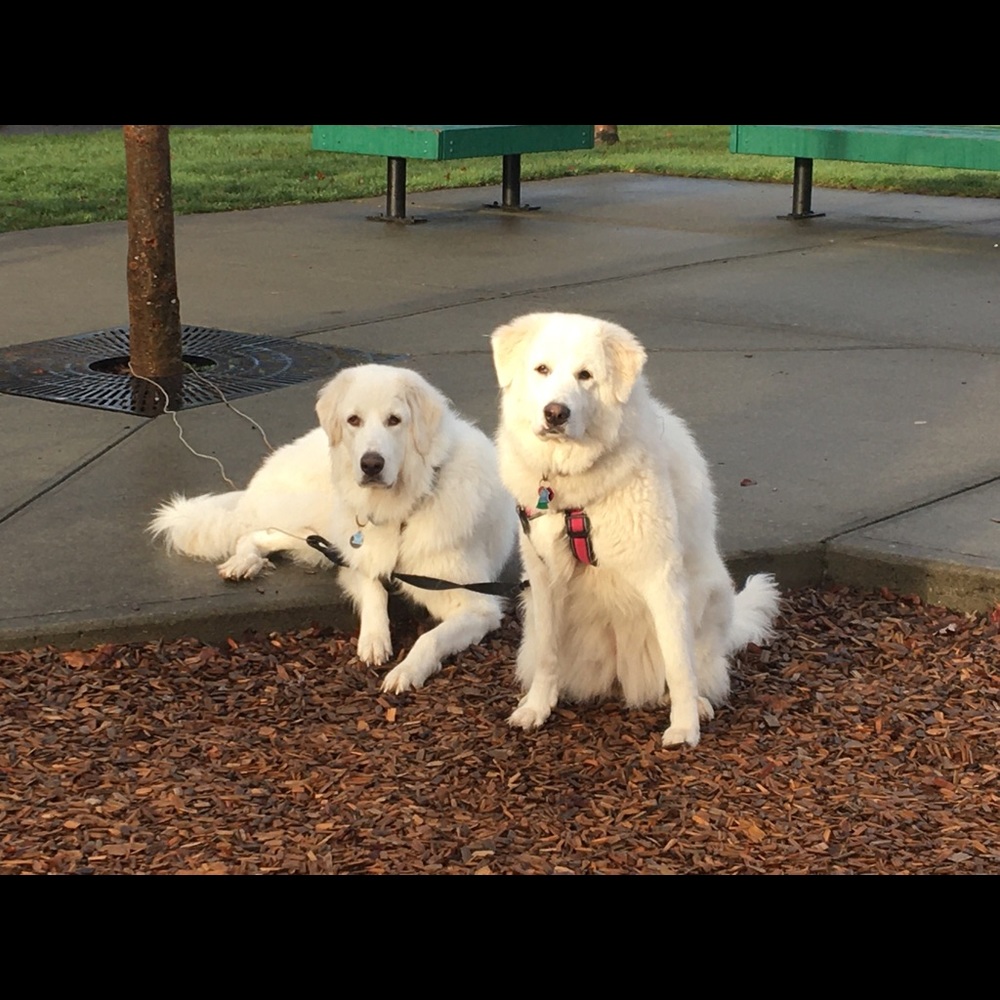 Meet your Posher, MiÃ©